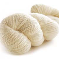 Champagne - Prime Alpaca