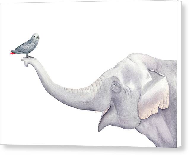 Elephant and Bird Watercolor - Canvas Print