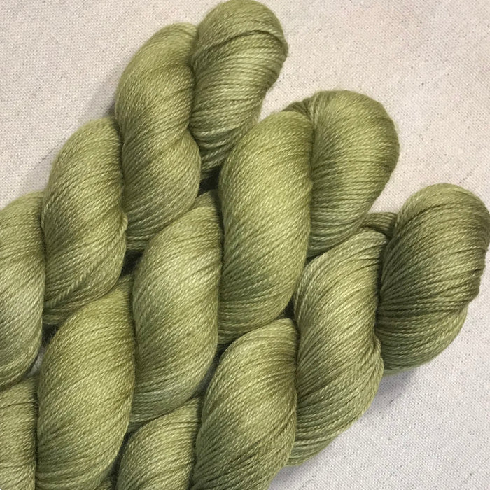 Lichen - Studio Sox