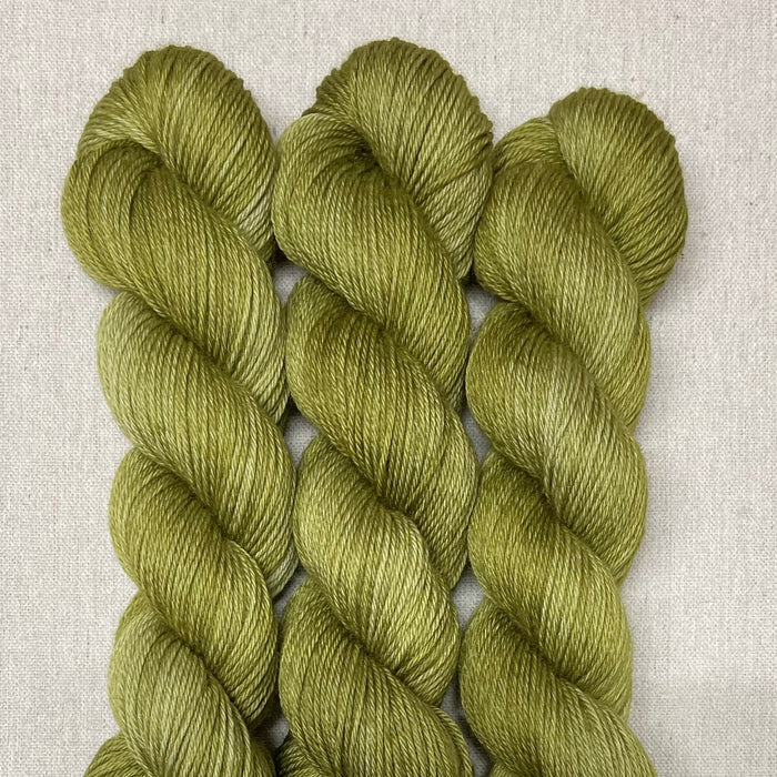 Lichen - Studio Sport
