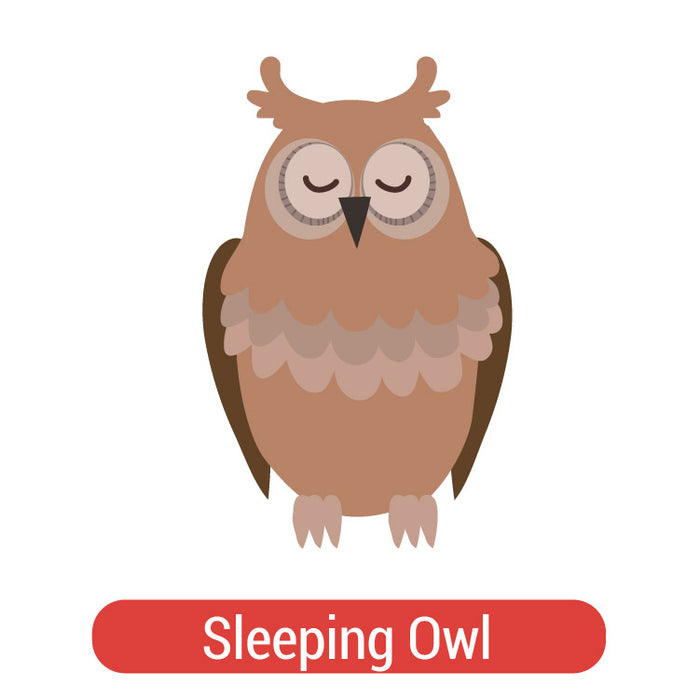 Sleeping Owl