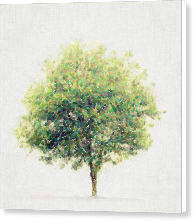 Soledad - Canvas Print