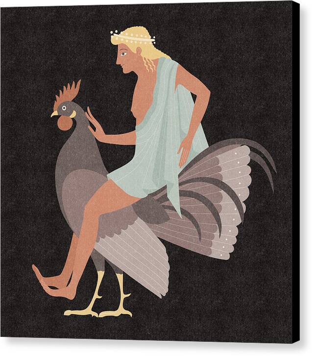 Alectryon - Canvas Print