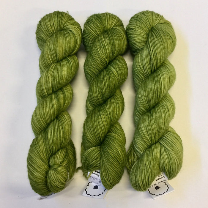 Basil - Studio Sport