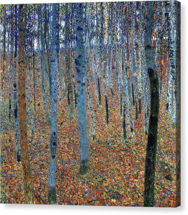 Beech Grove I - Canvas Print