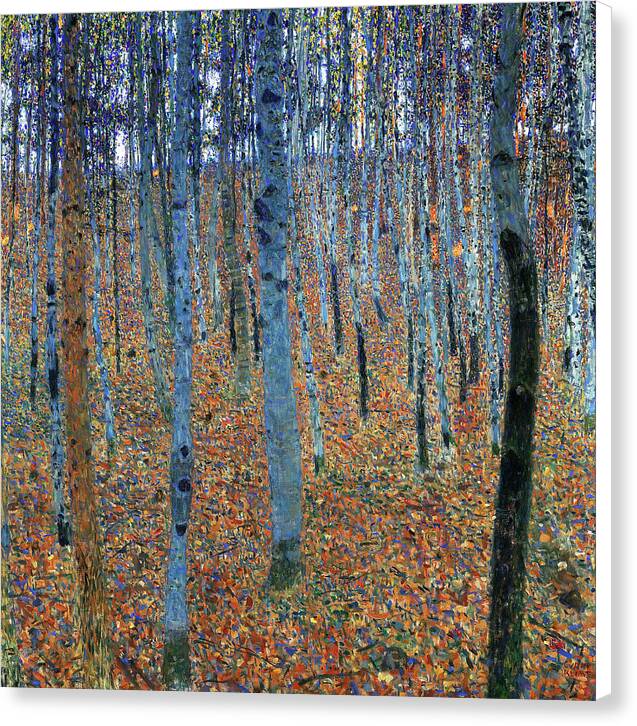 Beech Grove I - Canvas Print