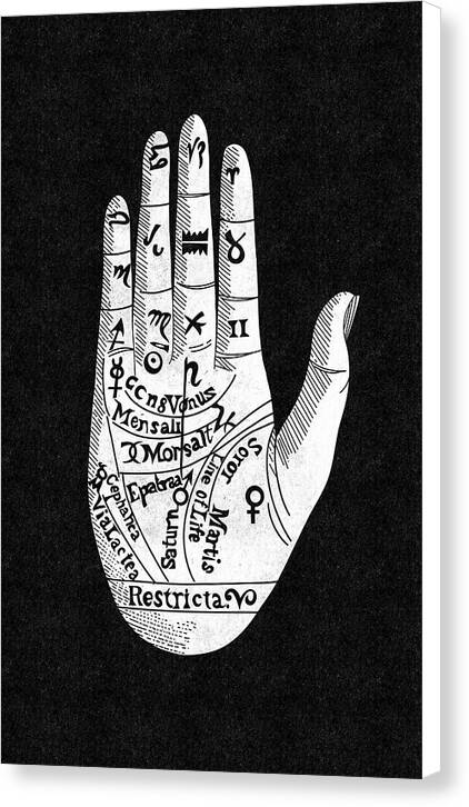 Chiromancy - Canvas Print