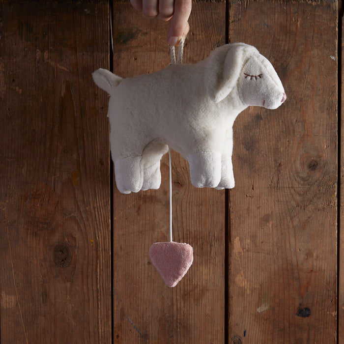 Cotton Music Box - Sheep