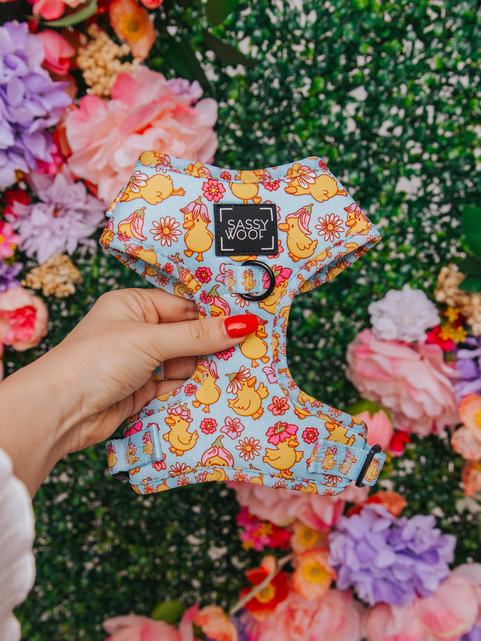 A hand with red nail polish holds Sassy Woof’s Dog Adjustable Harness - Good Duck, Babe!, featuring a cute duck and flower design, against a lush green backdrop with vibrant pink, purple, and peach flowers.