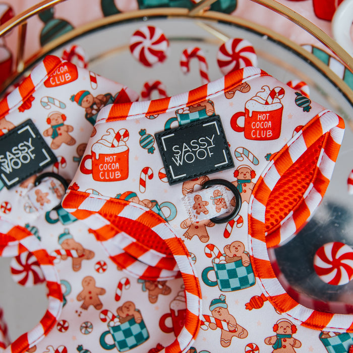 The Sassy Woof Hot Cocoa Club Dog Adjustable Harness features gingerbread men, mugs, candy canes, and red-and-white striped trim—perfect for festive holiday style.