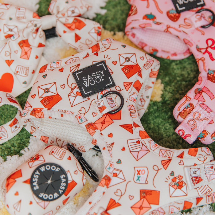 Sassy Woof “Dog Adjustable Harness - P.S. I Woof You” and matching accessories with red hearts, envelopes, and love letter patterns are displayed on a green textured surface in pink and white colorways with red designs.