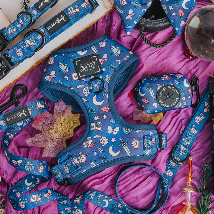 Sassy Woof’s Dog Adjustable Harness - Spellbound, featuring a magical print of moons, stars, books, and crystals, is displayed on purple fabric with autumn leaves and a glass ball for a mystical touch.