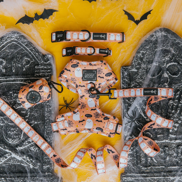 The Sassy Woof Dog Adjustable Harness - Squad Ghouls, featuring ghost and pumpkin patterns, is displayed on faux tombstones with cobwebs, spiders, and bats against a yellow backdrop.