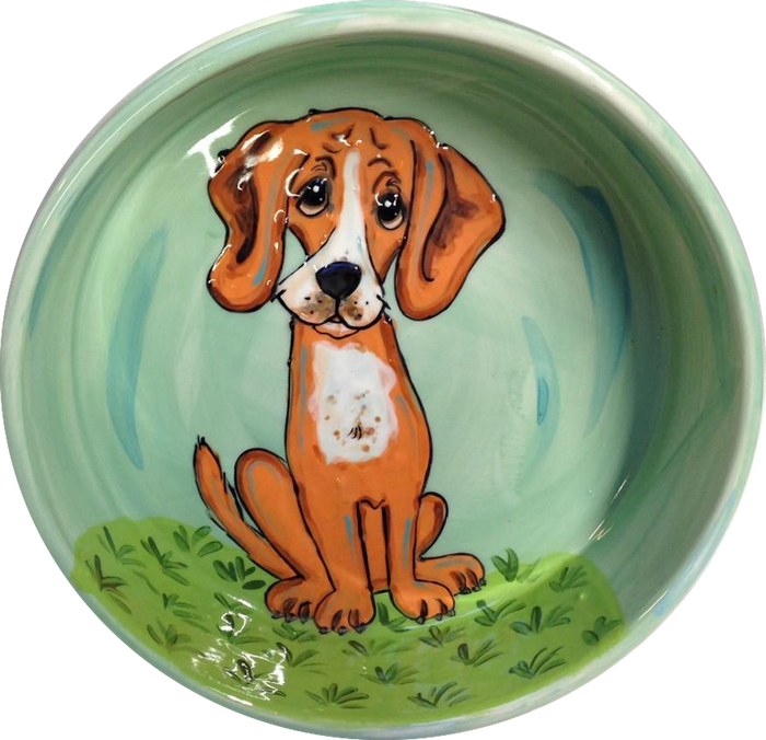 Dog Bowl