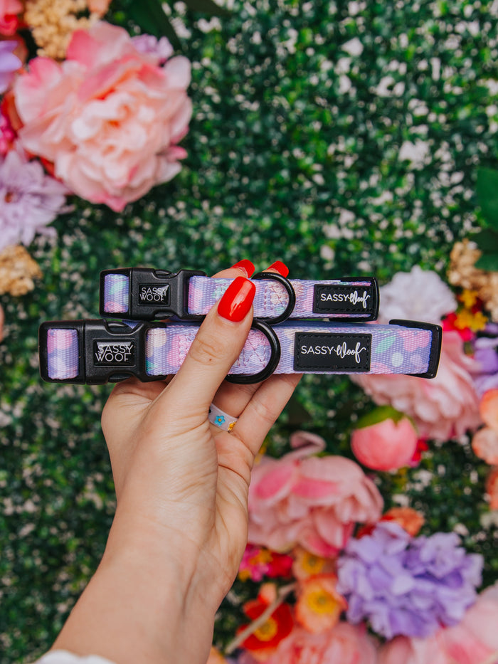 A hand with bright red nails holds two Sassy Woof Dog Collar - Fleur de Sass collars against a vibrant floral background featuring pink, purple, and red flowers with green foliage.