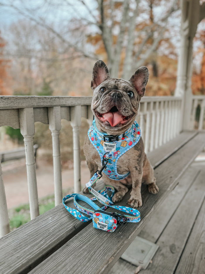 INFLUENCER_CONTENT | @MY.FRENCHIE.FRY | SIZE M