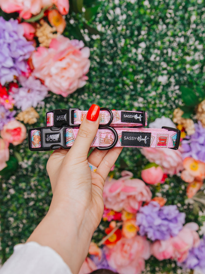 A hand holds the Sassy Woof Dog Collar - Out of Office, designed for comfort and adjustable fit as your pup grows.