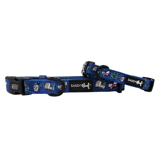 Two Sassy Woof "Spellbound" dog collars—blue, adjustable with black clasps and rings, featuring playful cartoon designs and a branded black label. A fun addition to your witchy dog accessories collection!.