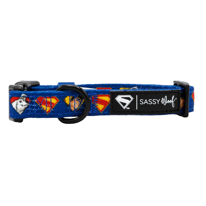 The Sassy Woof Dog Collar - Superman™ & Krypto™ is blue with Superman logos and Krypto dog faces, a black buckle, metal ring, and a tag that says Sassy Woof with the Superman symbol.