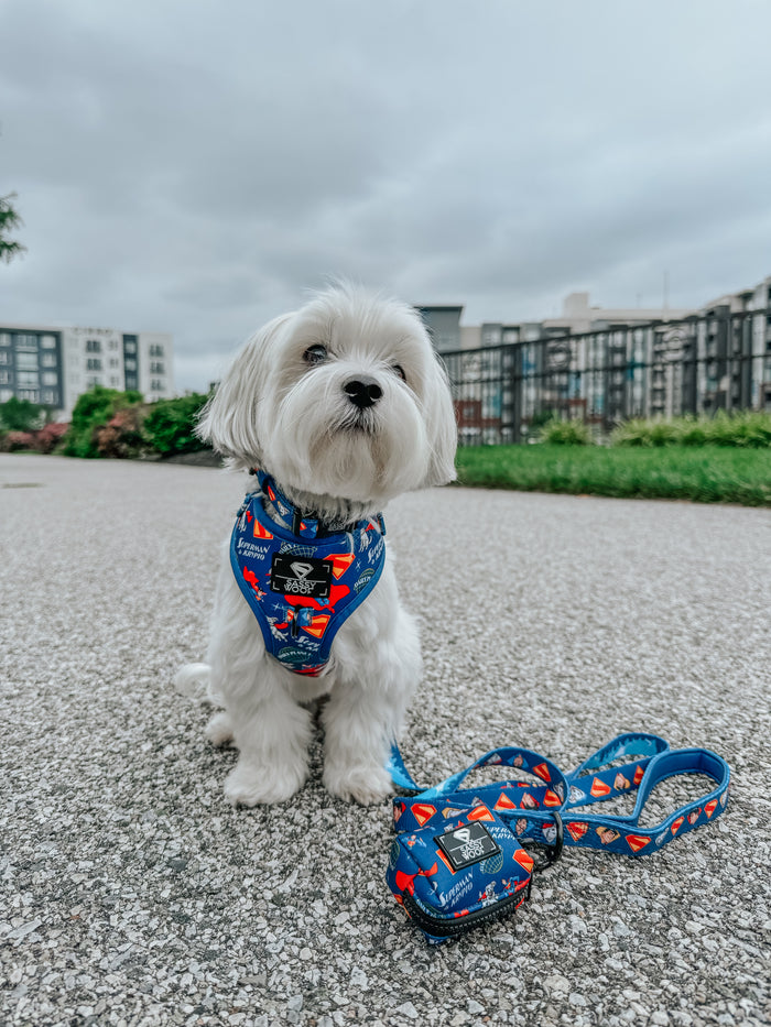 INFLUENCER_CONTENT | @ROCKYNYCMORKIE | SIZE S