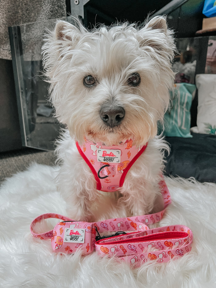 INFLUENCER_CONTENT | @LACEY.THE.WESTIE | SIZE M