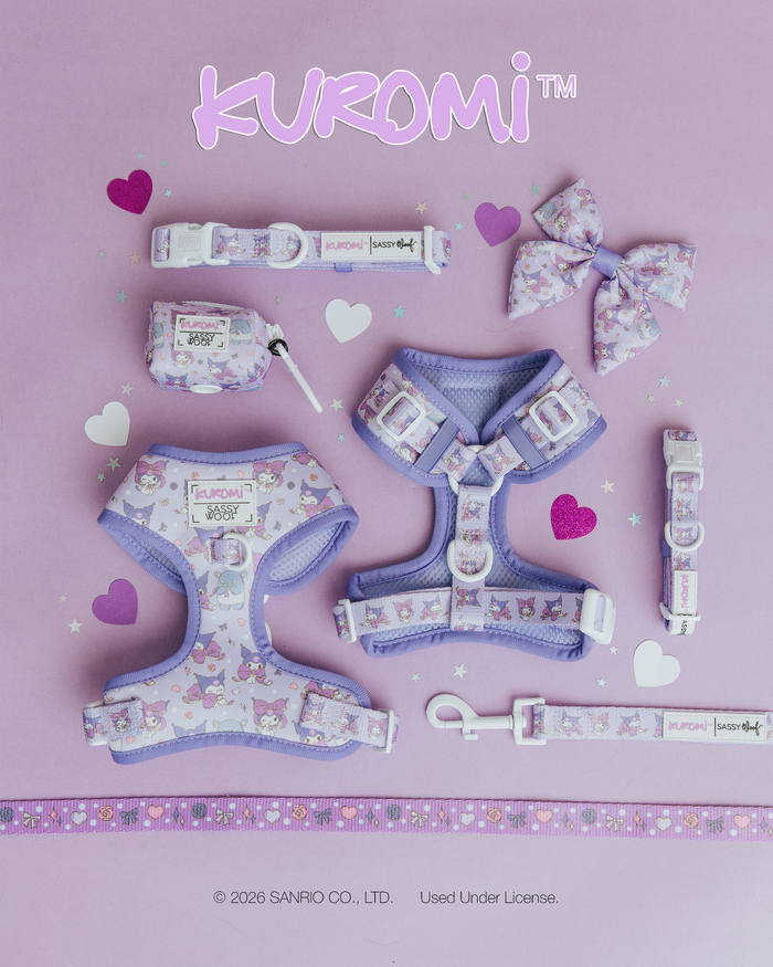 A flat lay of the Sassy Woof Dog Sailor Bow - Kuromi™, shown with pastel purple dog accessories, including harnesses, a stylish collar, a leash, and a small pouch featuring Kuromi on lavender with heart confetti.