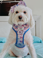 A small white dog with fluffy fur sits on a bed, wearing the Sassy Woof Dog Sailor Bow - Kuromi™. The matching bow features cartoon cats. A white headboard and teal blanket are visible in the background.