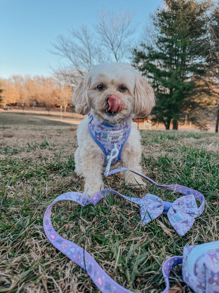 A small, fluffy dog with cream-colored fur stands on grass wearing the Sassy Woof Dog Sailor Bow - Kuromi™. Its tongue is out, licking its nose, with trees and a clear blue sky in the background.