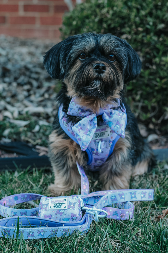 A small black and brown dog sits on grass wearing a purple Dog Sailor Bow - Kuromi™ by Sassy Woof, with a matching leash and accessory pouch in front. Bushes and a brick wall are visible in the background.