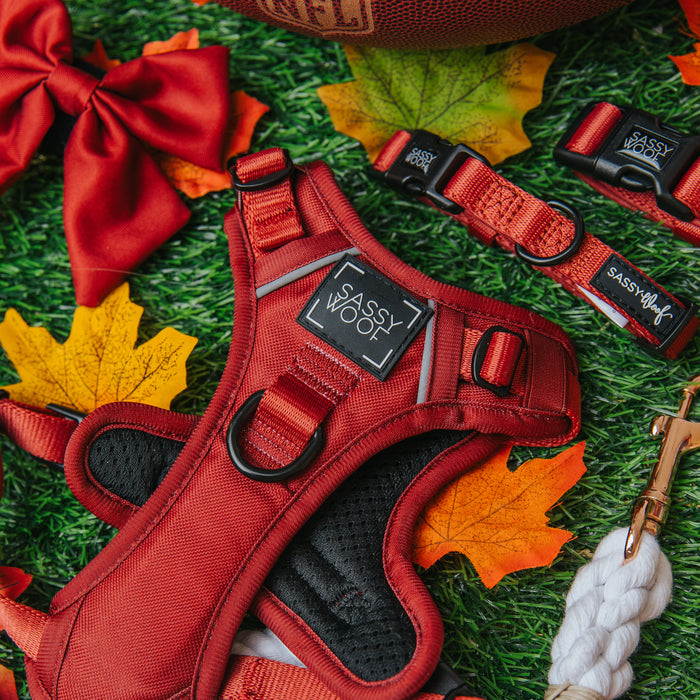 The Sassy Woof Dog Step-in Harness in Burgundy is shown on green grass with artificial autumn leaves, a red bow, and a football. Includes a collar and leash, each featuring branding and an Air Tag pocket for added convenience.