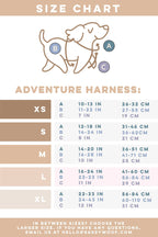 The Sassy Woof Dog Two Piece Bundle - Summer Sorbet size chart shows a dog illustration labeling neck (A), chest (B), and back (C). XS–XL sizes with inch/cm measurements. Leash details and contact info appear at the bottom.