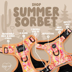 Two orange and pink Sassy Woof Dog Step-in Harnesses - Summer Sorbet, featuring adjustable neck/chest straps, reflective details, Air Tag pocket, 2 D-rings, 3 buckle step-in design, back handle, and safety lock. Shop now!.