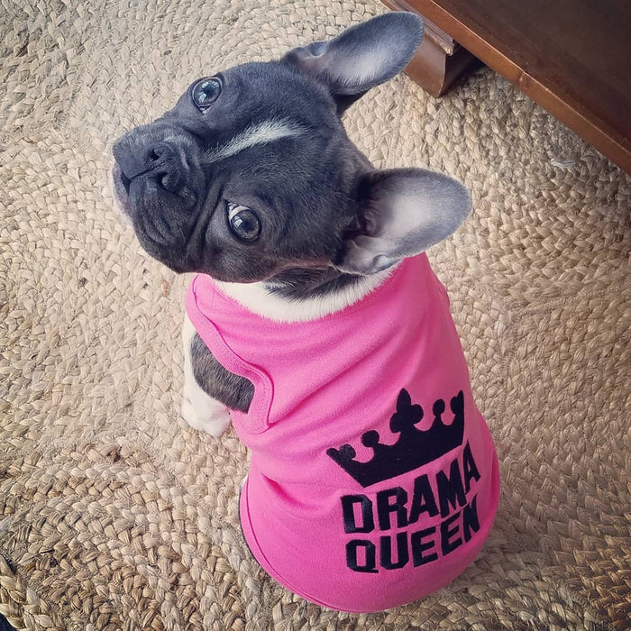 Drama Queen Pink Dog T-Shirt