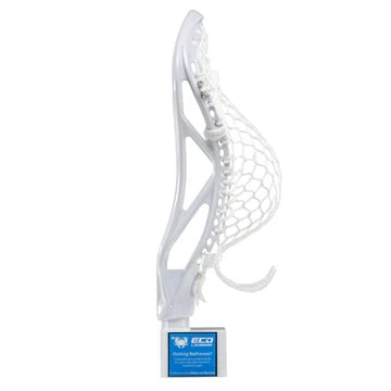 ECD Atom Head
