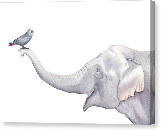 Elephant and Bird Watercolor - Canvas Print