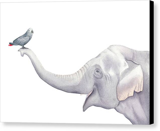 Elephant and Bird Watercolor - Canvas Print