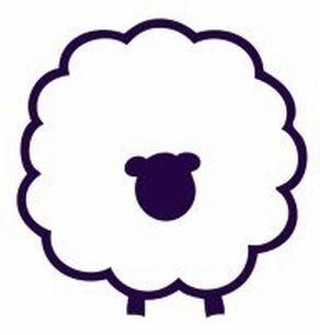 Ewe'nique - Studio Smitten