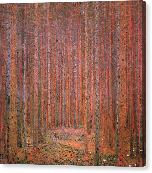 Fir Forest - Canvas Print