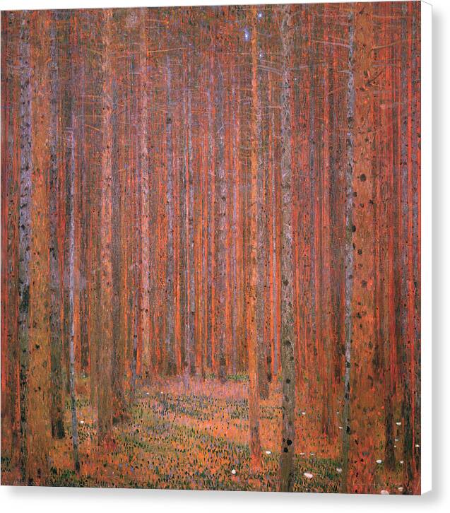 Fir Forest - Canvas Print
