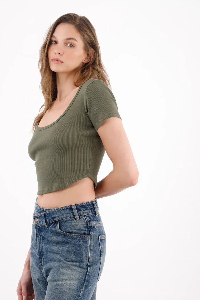 Color_19-0511