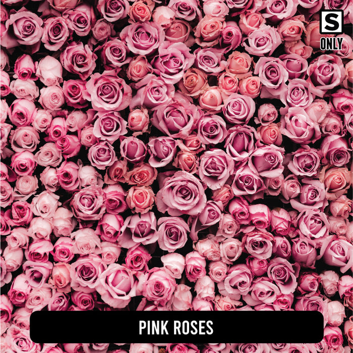 Pink Roses