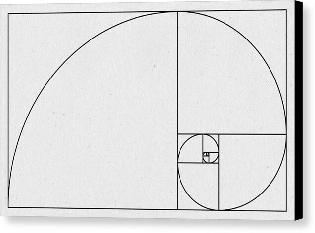 Golden Spiral - Canvas Print