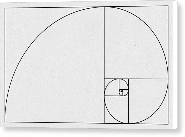 Golden Spiral - Canvas Print
