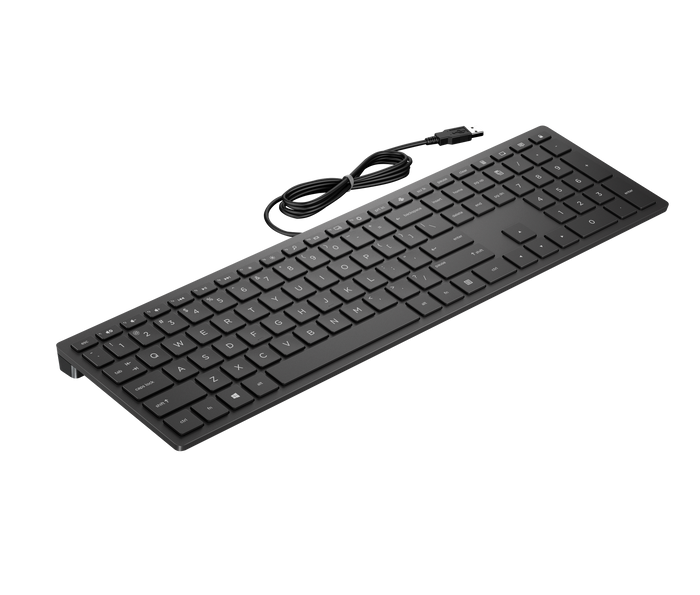 HP Pavilion Wired Keyboard 300 SA