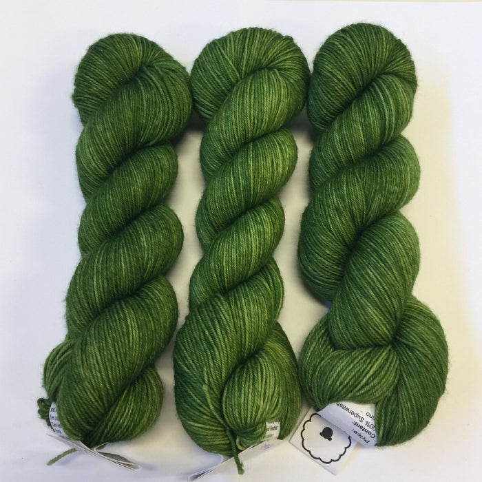 Kale - Studio Sport