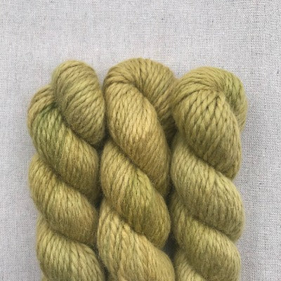 Lichen - Studio Alpaca Grande