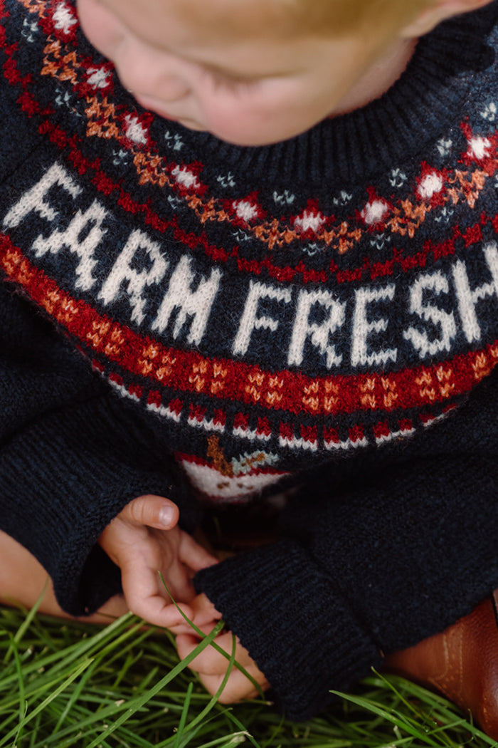 A child sits on the grass wearing Ivy City Co’s Mini Farm Fresh Sweater— a dark knit dress featuring a colorful patterned collar and “FARM FRESH” knitted in white across the chest. Playful balloon sleeves complete the look as the child’s hands rest in their lap, touching green blades of grass.
