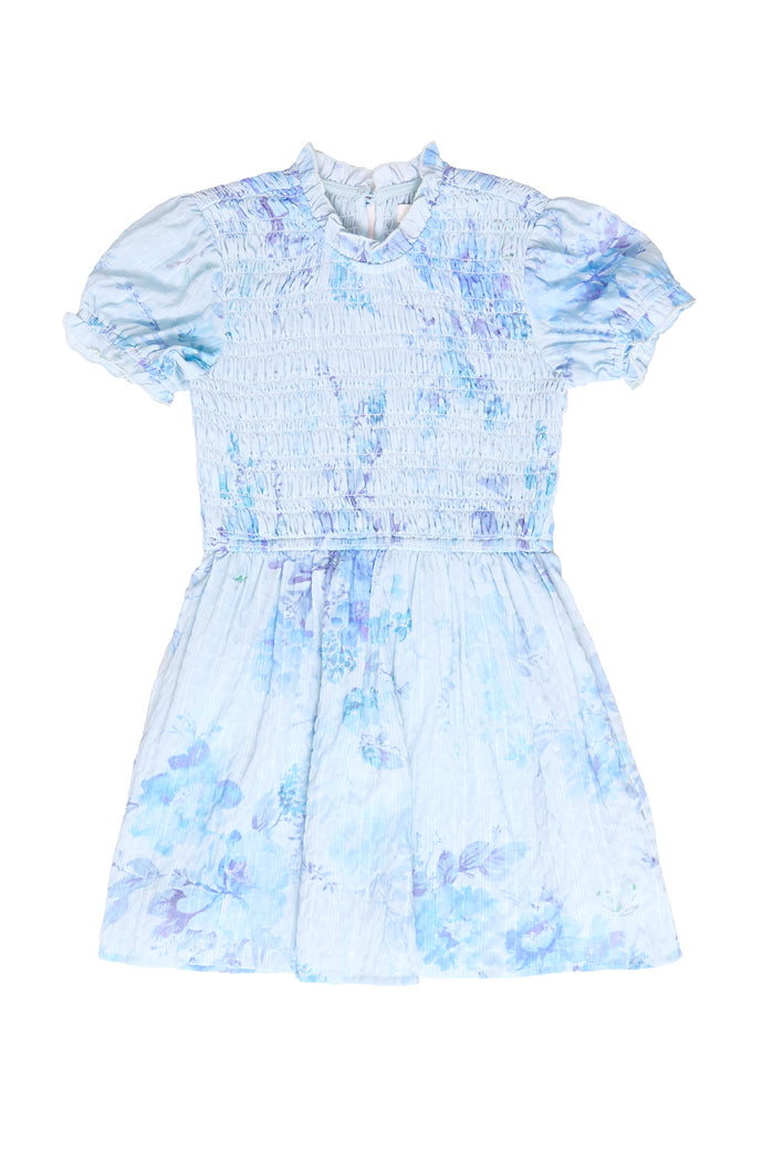 blue floral dress against a white background