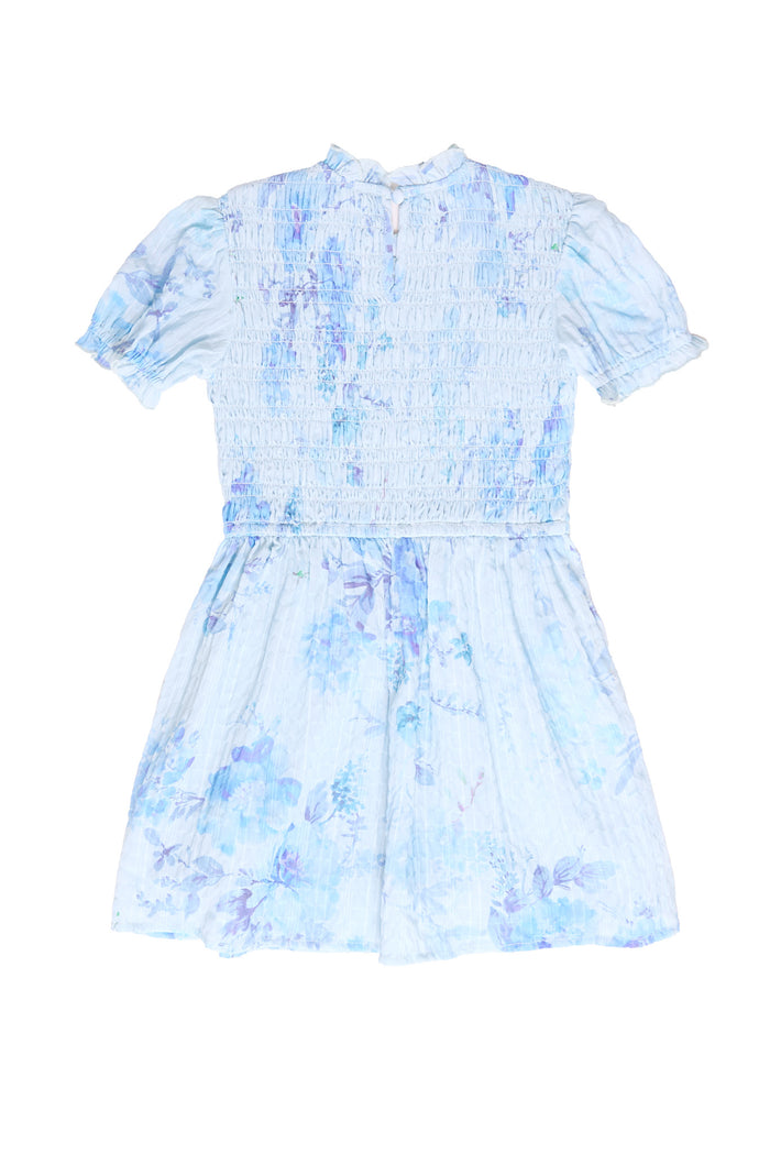the back of a blue floral dress against a white background