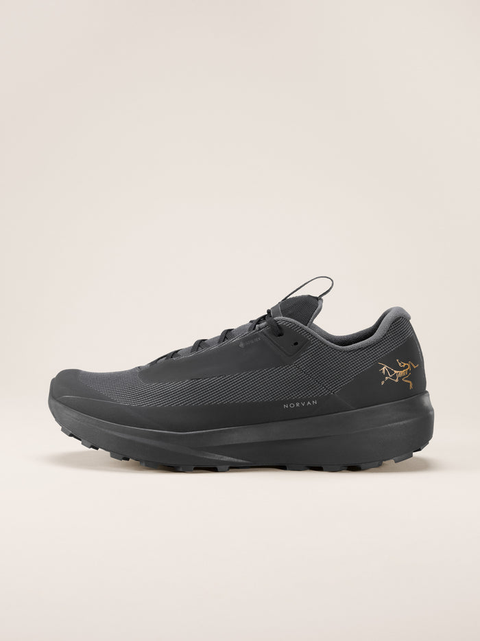 Norvan LD 4 GTX Shoe Men's